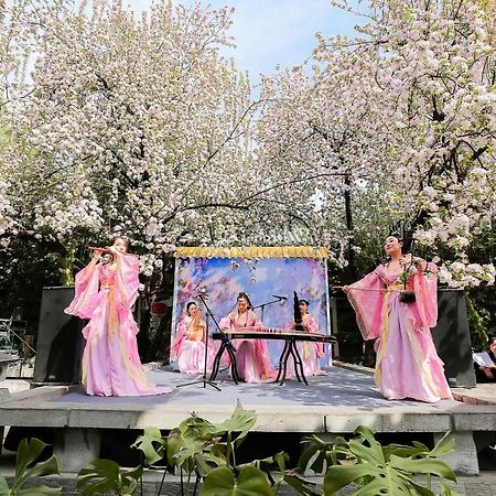 Tang Dynasty Art Garden Hotel Xi'an  Eksteriør bilde